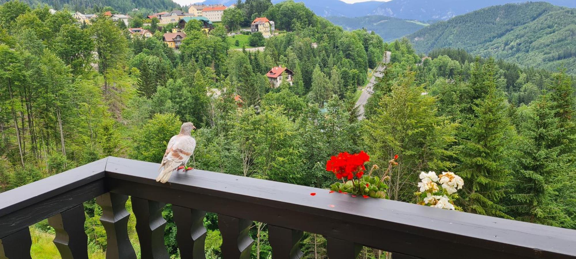 Kurhotel Renona Rehabilitation Semmering Dış mekan fotoğraf