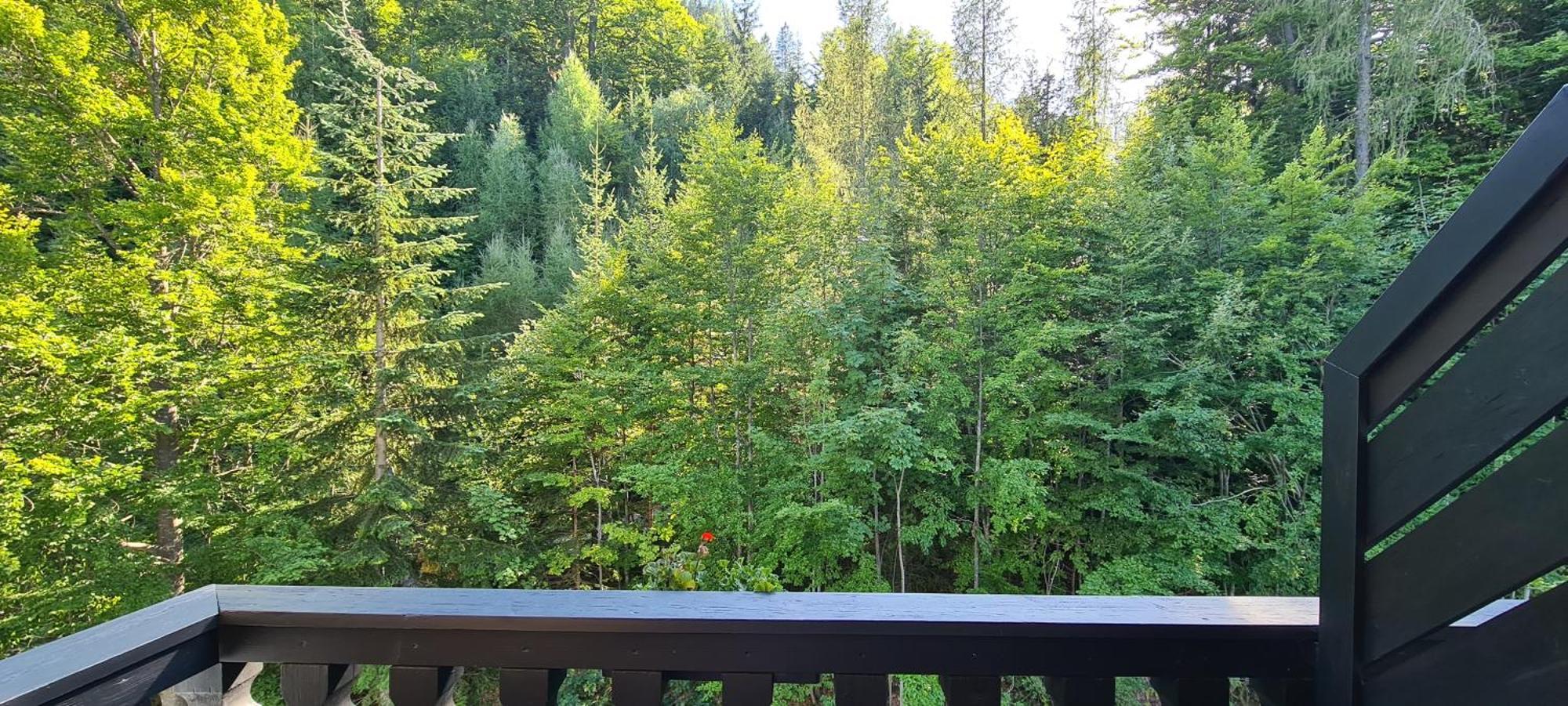 Kurhotel Renona Rehabilitation Semmering Dış mekan fotoğraf